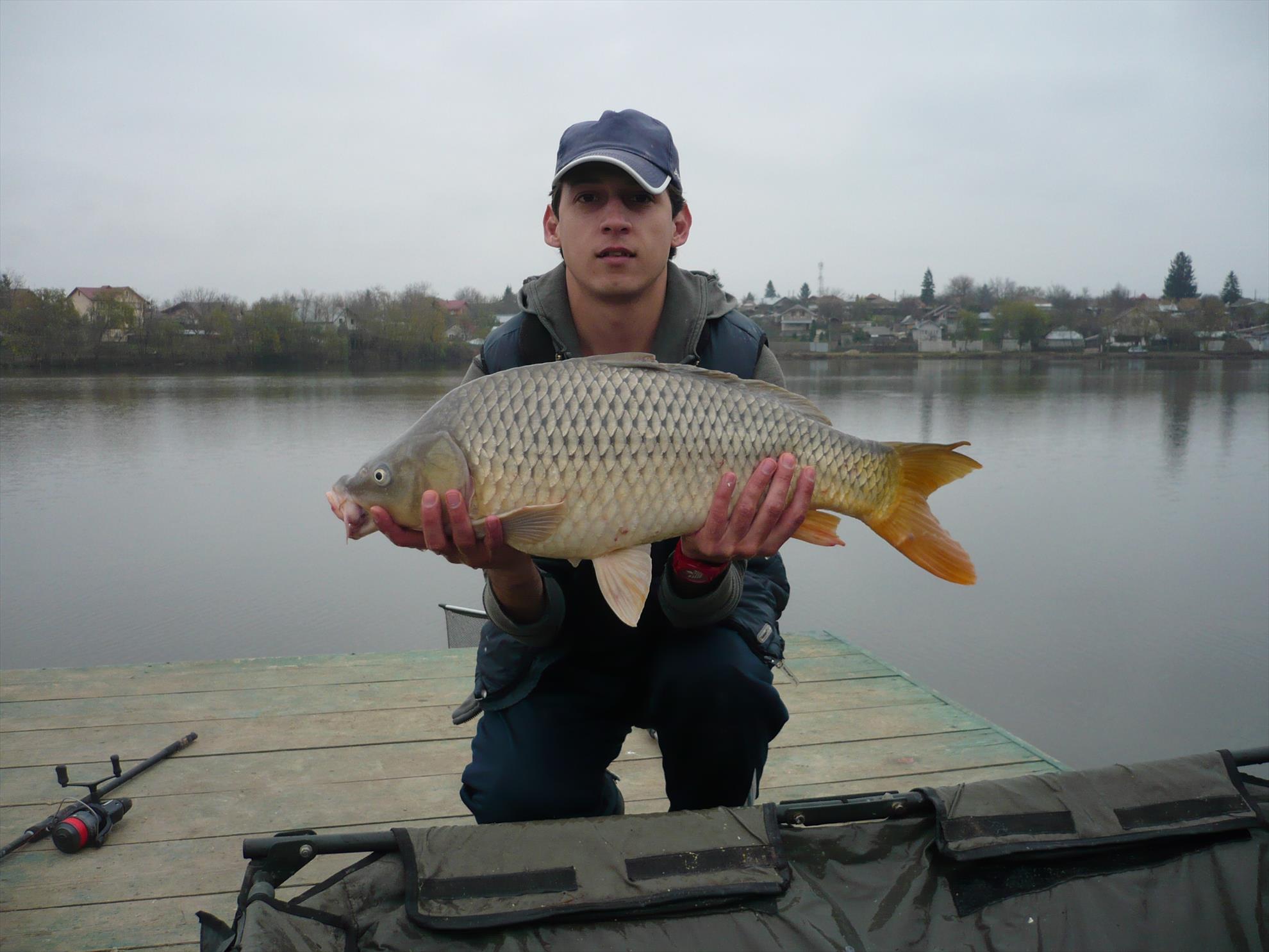 MV2 - 13.NOI.2013 - p1010932.JPG